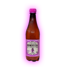 Kombucha-materina dúška