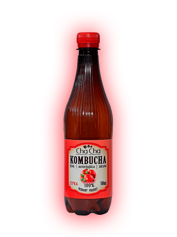 Kombucha-šípka