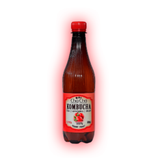 Kombucha-šípka