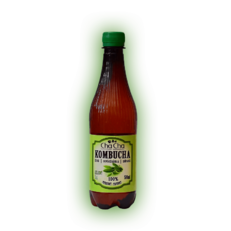 Kombucha-zelený čaj